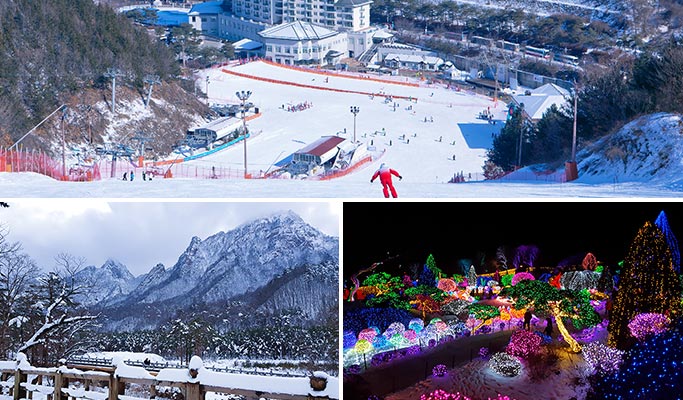 Elysian Gangchon Ski Resort + Seoraksan National Park + Garden of Morning Calm Light Festival 1 Day Tour