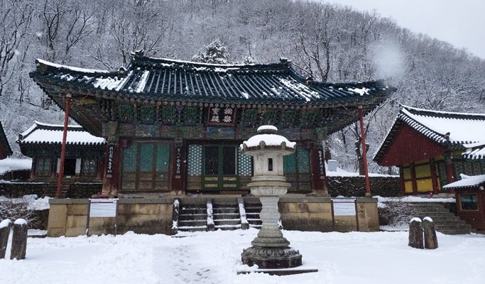 Elysian Gangchon Ski Resort + Seoraksan National Park + Garden of Morning Calm Light Festival 1 Day Tour