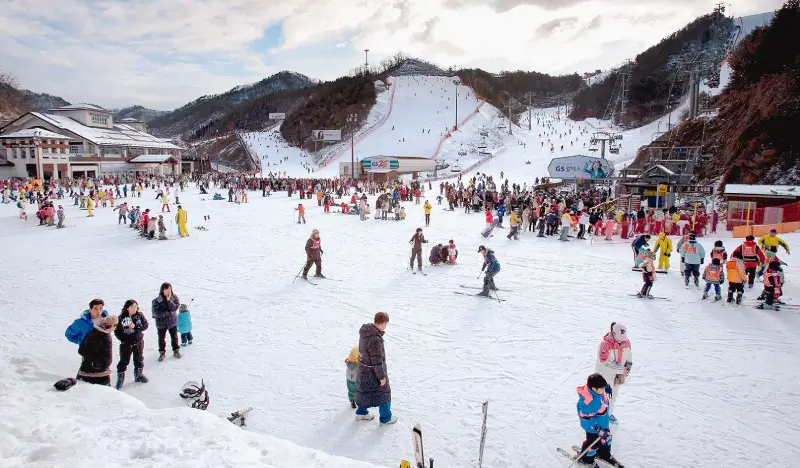 Elysian Gangchon Ski Resort (+ Nami Island & Eobi Ice Valley option) 1 Day Tour - from Seoul
