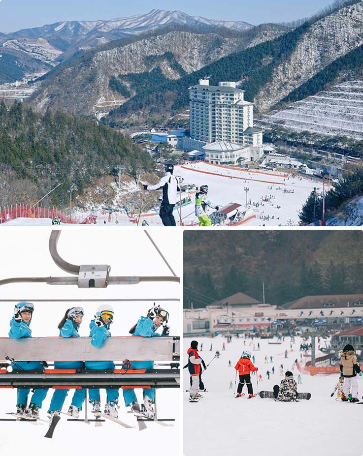 Elysian Gangchon Ski Resort: 3D2N/4D3N Ski/Snowboard Tour - Trazy ...