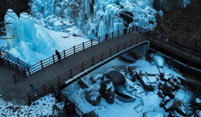 Nami Island + Eobi Ice Valley Tour (+ Garden of Morning Calm/ Rail Bike/ Petite France/ Alpaca World options)