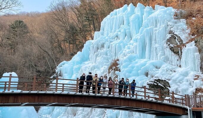 Nami Island + Eobi Ice Valley Tour (+ Garden of Morning Calm/ Rail Bike/ Petite France/ Alpaca World options)