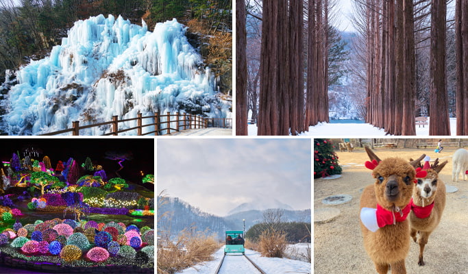 Eobi Ice Valley + Nami Island (+ Garden of Morning Calm/ Gangchon Rail Bike/ Alpaca World)