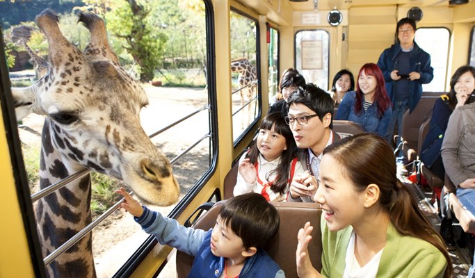 Everland Private Van Transfer Service from/to Seoul
