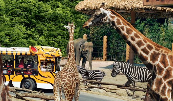 Everland 割引チケット＆シャトルバスパッケージ