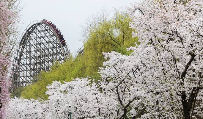 愛寶樂園往返接駁巴士（首爾↔愛寶樂園）