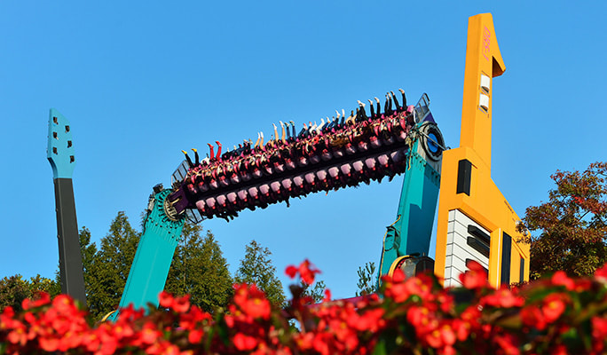 Everland + Lotte World 1 Day Tour (Lotte Duty Free Shopping included) - from Seoul