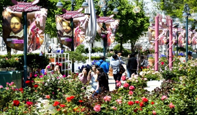 愛寶樂園往返接駁巴士（首爾↔愛寶樂園）