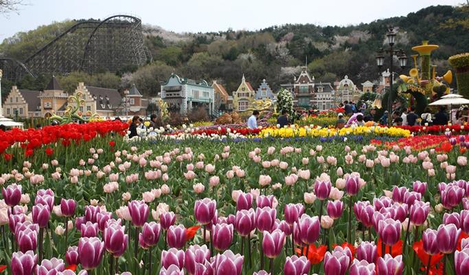 Spring Special: Seoraksan + Naksansa Temple / Nami Island + Everland / Masian Beach + Wolmi Island Join-in 1 Day Tour (Apr 3~Apr 18)