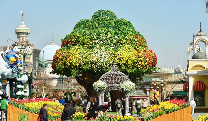 Everland Discount Ticket - One Day Pass