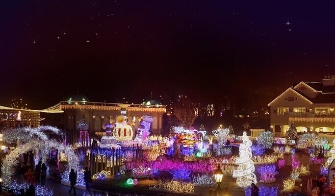 Nami Island + Everland 1 Day Tour