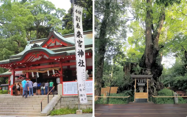 Entrance of Atami Kinomiya Shrine with the ancient camphor tree