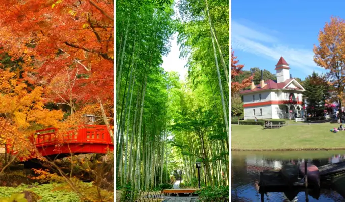 Autumn Special: Atami Kinomiya Shrine/Atami Plum Garden + Shuzenji Niji-no-Sato/Shuzenji Natural Park + Izu Onsen Hot Springs from Tokyo (Nov 15~Dec 15)