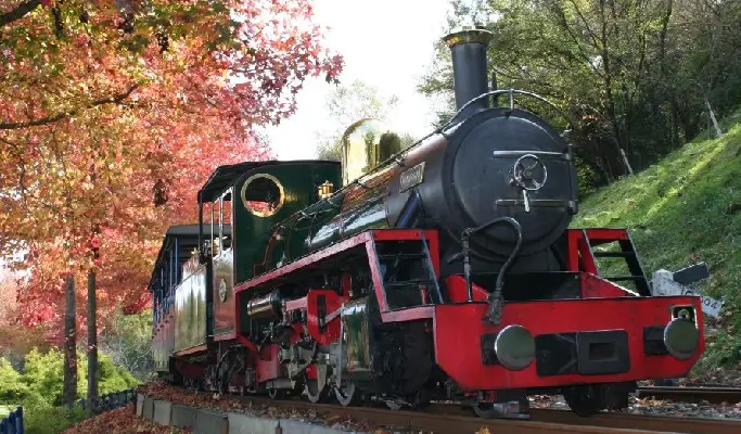 Autumn Special: Atami Kinomiya Shrine/Atami Plum Garden + Shuzenji Niji-no-Sato/Shuzenji Natural Park + Izu Onsen Hot Springs from Tokyo (Nov 15~Dec 15)