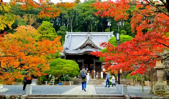 Autumn Special: Atami Kinomiya Shrine/Atami Plum Garden + Shuzenji Niji-no-Sato/Shuzenji Natural Park + Izu Onsen Hot Springs from Tokyo (Nov 15~Dec 15)