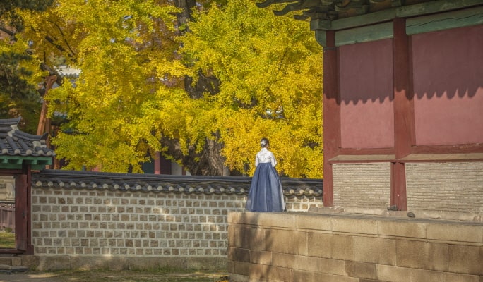 韓国の秋・紅葉1日ツアー(釜山↔近郊、10月28日～11月15日)