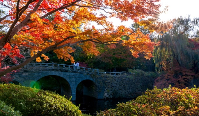 韓国の秋・紅葉1日ツアー(釜山↔近郊、10月28日～11月15日)