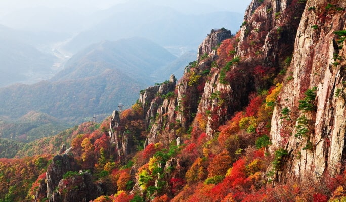 韓国の秋・紅葉1日ツアー(釜山↔近郊、10月28日～11月15日)