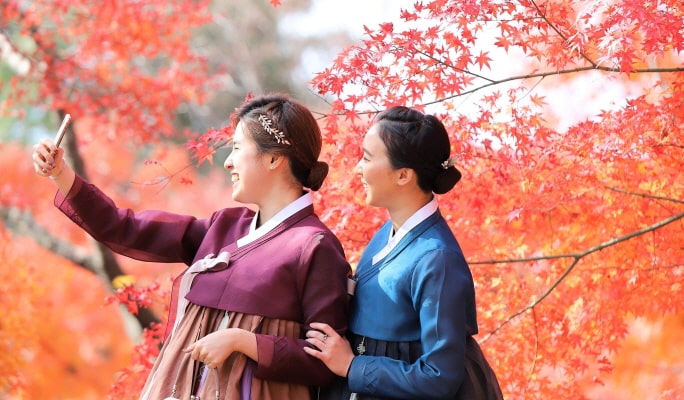 韓国の秋・紅葉1日ツアー(釜山↔近郊、10月28日～11月15日)