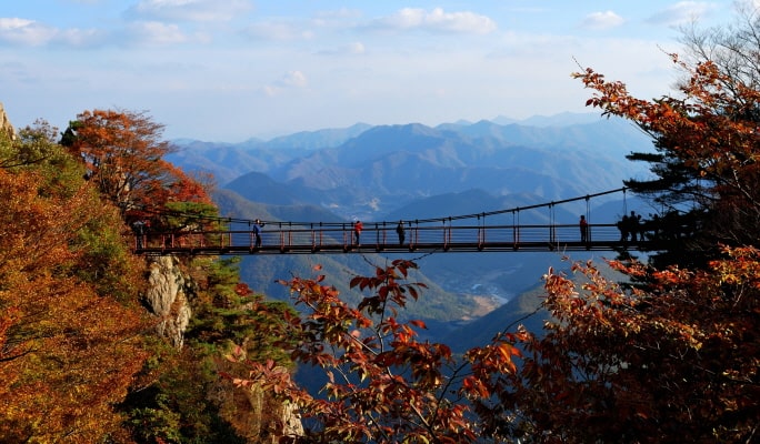 【秋季賞楓】 雪嶽山／內藏山／五臺山／大芚山／長泰山一日遊 - 首爾出發（10月14日～11月26日）