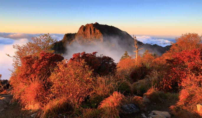 [Autumn Foliage] Naejangsan/ Jirisan/ Juwangsan/ Gyeongju 1 Day Tour - from Busan (Oct 26~Nov 20)