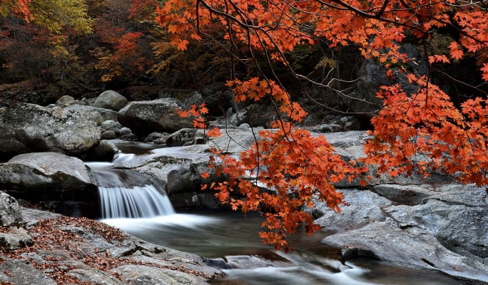 [Autumn Foliage] Naejangsan/ Jirisan/ Juwangsan/ Gyeongju 1 Day Tour - from Busan (Oct 26~Nov 20)
