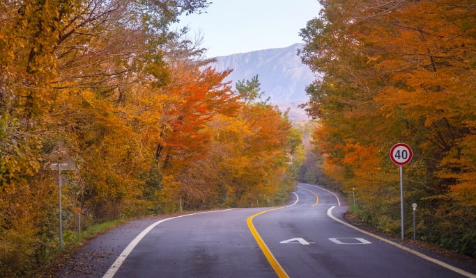 [Autumn Foliage] Naejangsan/ Jirisan/ Juwangsan/ Gyeongju 1 Day Tour - from Busan (Oct 26~Nov 20)