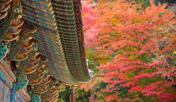 【秋季賞楓】 雪嶽山／內藏山／五臺山／大芚山／長泰山一日遊 - 首爾出發（10月14日～11月26日）