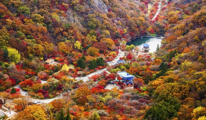 【秋季賞楓】 雪嶽山／內藏山／五臺山／大芚山／長泰山一日遊 - 首爾出發（10月14日～11月26日）