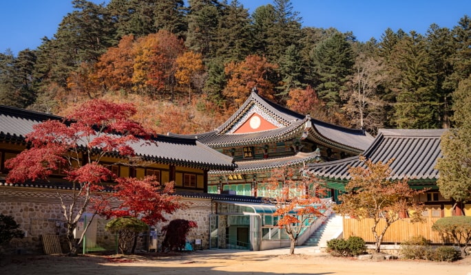 【秋季賞楓】 雪嶽山／內藏山／五臺山／大芚山／長泰山一日遊 - 首爾出發（10月14日～11月26日）