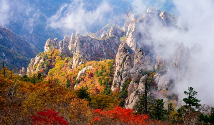 Korea Autumn/Fall Foliage 1 Day Tour to Mountains & National Parks - from Seoul (Oct 16~Nov 15)