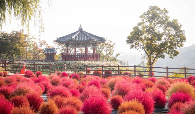 韓國秋季/楓葉Instagram景點一日遊（首爾↔周邊，10月10日~21日）