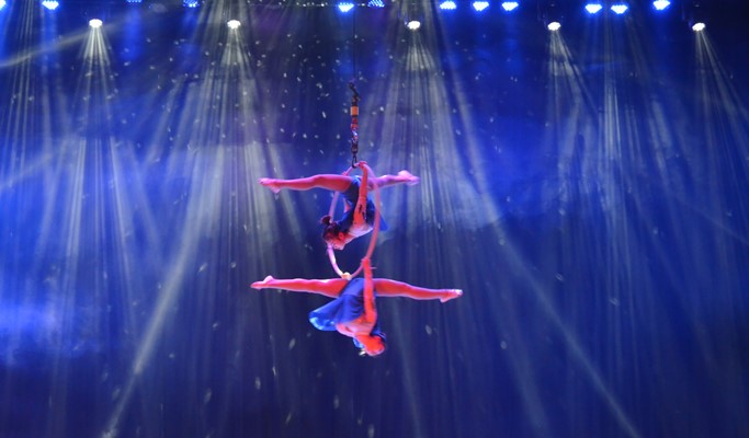 Family Fun Tour: Starfield City Mall + Dongchun Circus + Paper Art Museum 1 Day Tour (Join-in/Private)