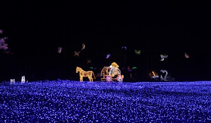 Premium Bus Tour: Nami Island + Petite France + The Garden of Morning Calm - from Seoul (+Breakfast/Free Wi-Fi on the Bus)