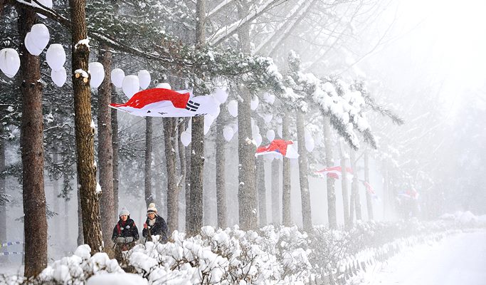 Premium Bus Tour: Nami Island + Petite France + The Garden of Morning Calm - from Seoul (+Breakfast/Free Wi-Fi on the Bus)