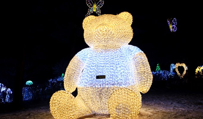 Premium Bus Tour: Nami Island + Petite France + The Garden of Morning Calm - from Seoul (+Breakfast/Free Wi-Fi on the Bus)