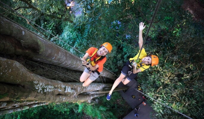 Flight of the Gibbon - Zipline Adventure from Bangkok (+Cycling Tour)