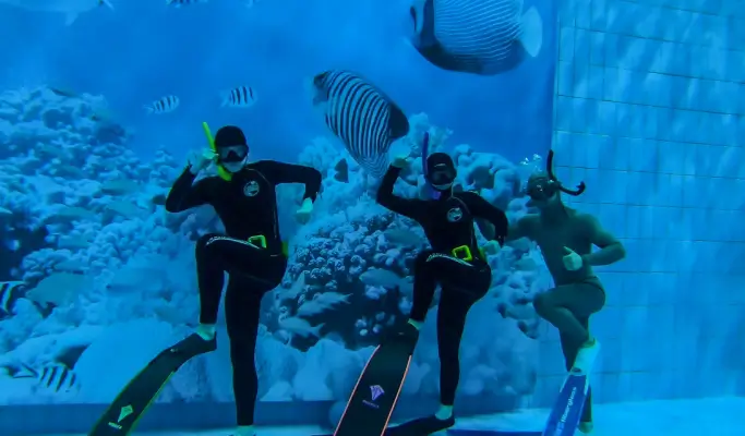 Freediving 1 Day Experience in Daejeon