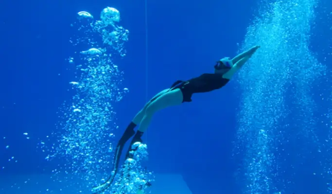 Freediving 1 Day Experience in Daejeon