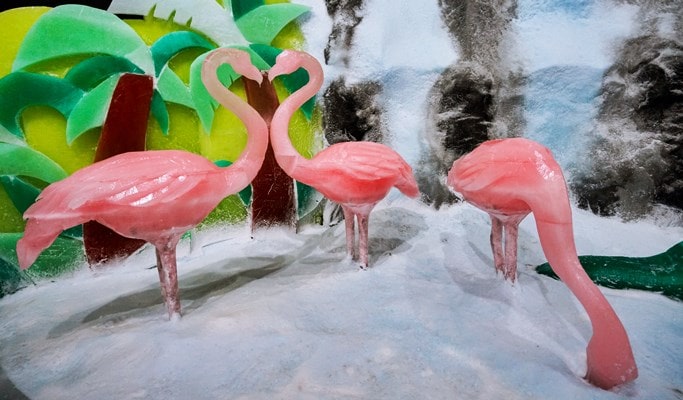 Freezing Island Discount Ticket