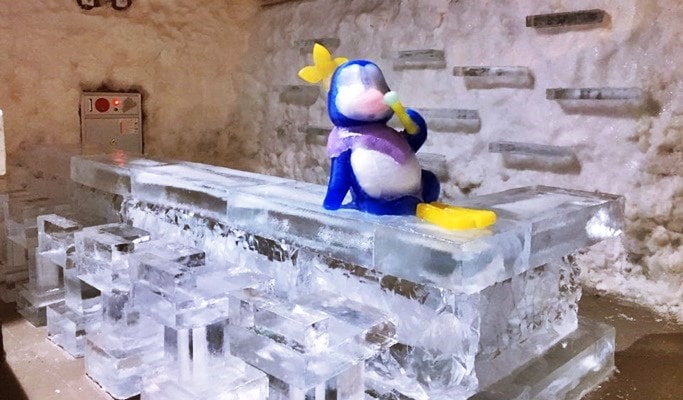 Freezing Island Discount Ticket