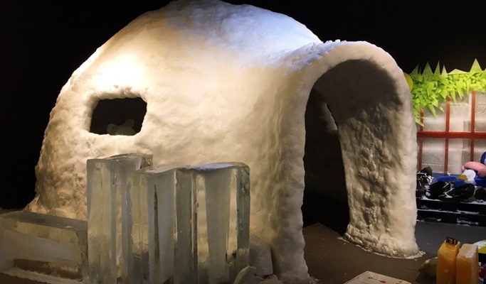 Freezing Island Discount Ticket