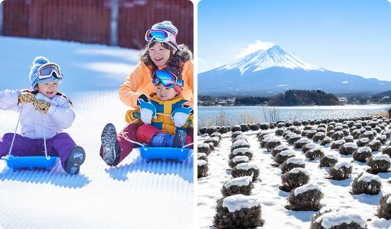Fujiten Snow Resort + Oishi Park Sightseeing: 1 Day Ski/Snow Sled Tour - from Tokyo