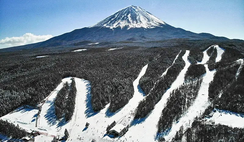 Fujiten Snow Resort + Oishi Park Sightseeing: 1 Day Ski/Snow Sled Tour - from Tokyo - view 1