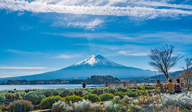Fujiten Snow Resort + Oishi Park Sightseeing: 1 Day Ski/Snow Sled Tour - from Tokyo - view 2