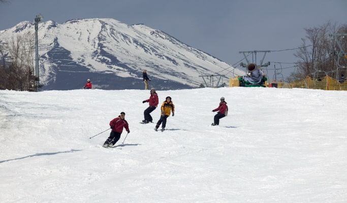 富士山YETI滑雪場：1 日滑雪/雪橇之旅 - 東京出發