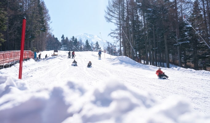 富士山YETI滑雪場：1 日滑雪/雪橇之旅 - 東京出發