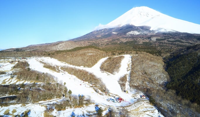 富士山YETI滑雪場：1 日滑雪/雪橇之旅 - 東京出發