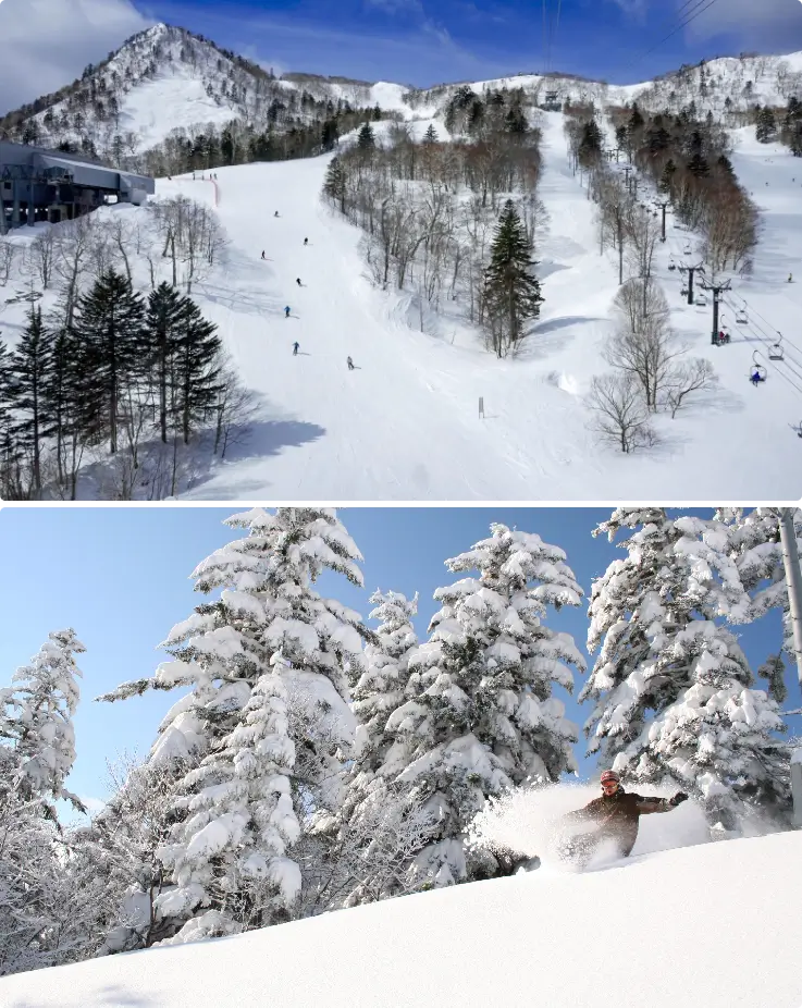 Skiers enjoying various ski slopes at Furano Ski Resort in Hokkaido