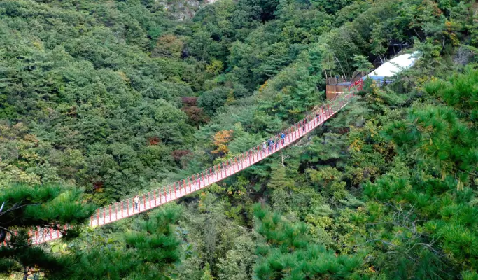 DMZ & UNESCO Geopark 1 Day Tour from Seoul (with Optional Hantangang River Geopark or Gamaksan Valley)